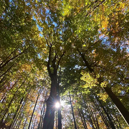 Le Querce 別荘 カスティリオーネ・デイ・ペーポリ