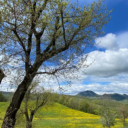 Le Querce * Castiglione dei Pepoli