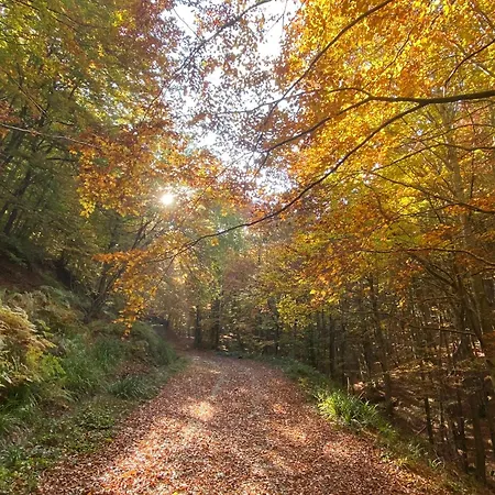 Le Querce Castiglione dei Pepoli